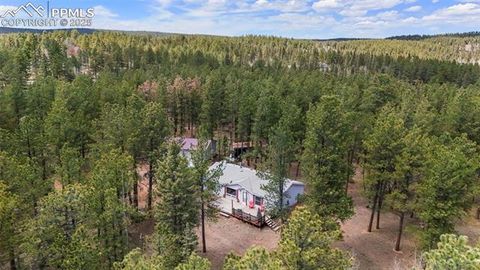 Tiny photo for 2450 Pathfinder Road, Florissant, CO 80816 (MLS # 2556117)
