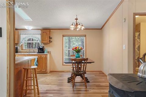 Tiny photo for 2450 Pathfinder Road, Florissant, CO 80816 (MLS # 2556117)