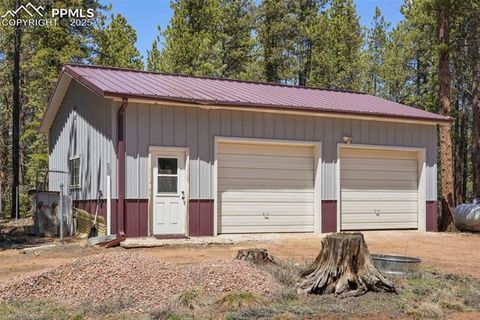 Tiny photo for 2450 Pathfinder Road, Florissant, CO 80816 (MLS # 2556117)