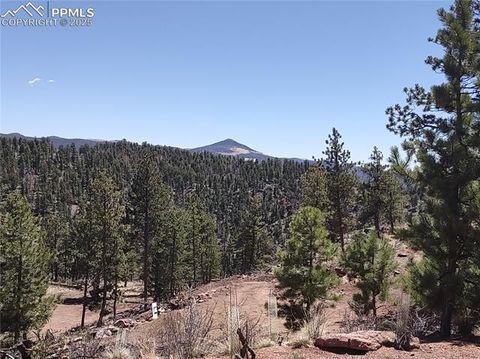822 Chateau West Drive Florissant CO 80816