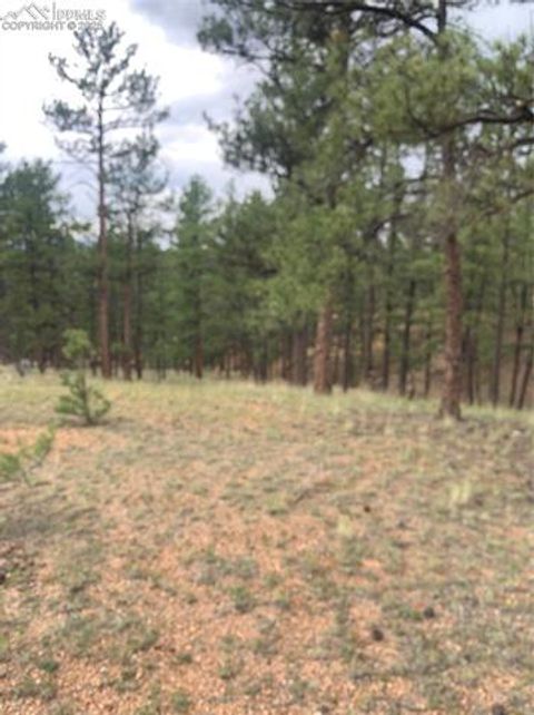 Tiny photo for 110 Wallace Drive, Florissant, CO 80816 (MLS # 3919247)