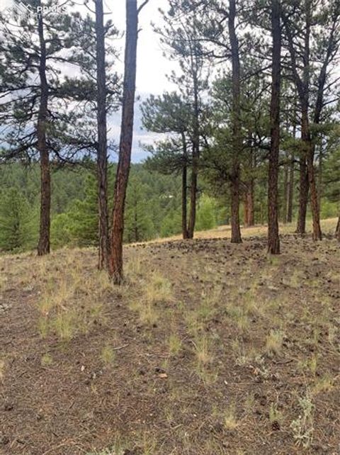 Tiny photo for 110 Wallace Drive, Florissant, CO 80816 (MLS # 3919247)