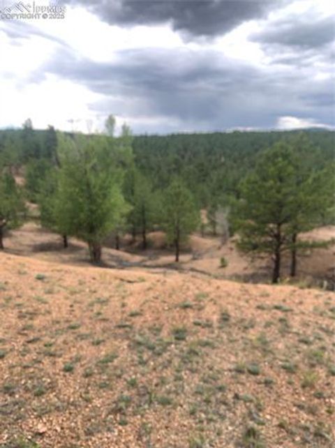 Tiny photo for 110 Wallace Drive, Florissant, CO 80816 (MLS # 3919247)