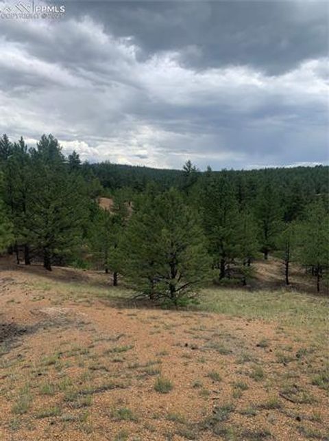 Tiny photo for 110 Wallace Drive, Florissant, CO 80816 (MLS # 3919247)