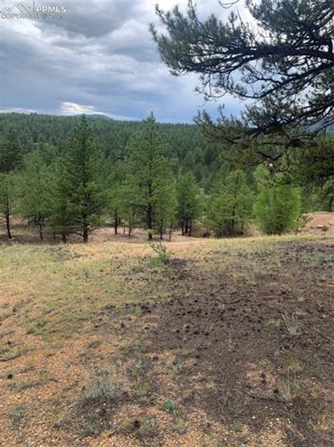 Tiny photo for 110 Wallace Drive, Florissant, CO 80816 (MLS # 3919247)