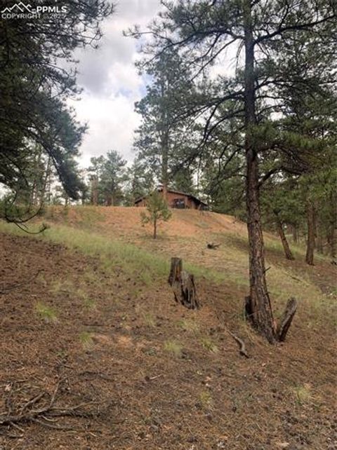 Tiny photo for 110 Wallace Drive, Florissant, CO 80816 (MLS # 3919247)