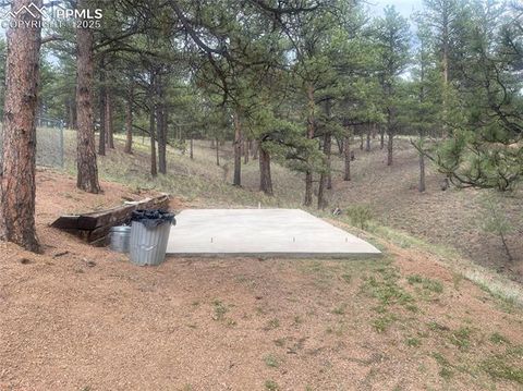 Tiny photo for 110 Wallace Drive, Florissant, CO 80816 (MLS # 3919247)