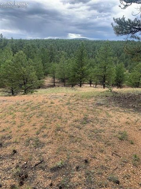 Tiny photo for 110 Wallace Drive, Florissant, CO 80816 (MLS # 3919247)