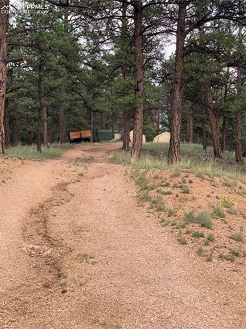 Tiny photo for 110 Wallace Drive, Florissant, CO 80816 (MLS # 3919247)