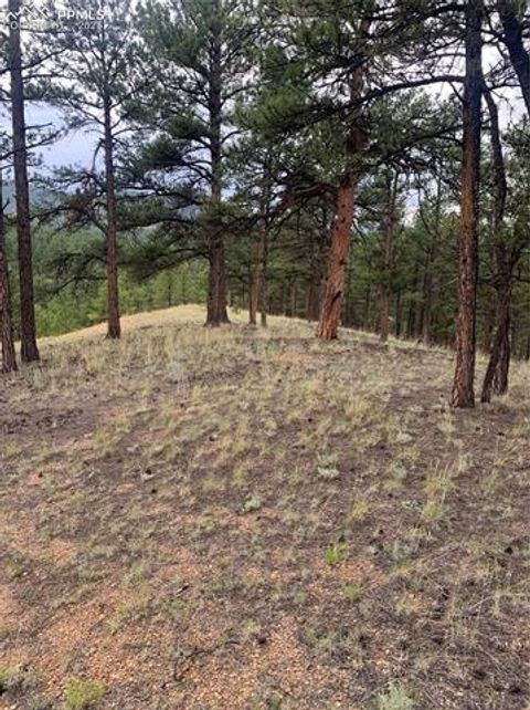 Tiny photo for 110 Wallace Drive, Florissant, CO 80816 (MLS # 3919247)
