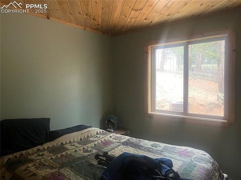 Tiny photo for 110 Wallace Drive, Florissant, CO 80816 (MLS # 3919247)