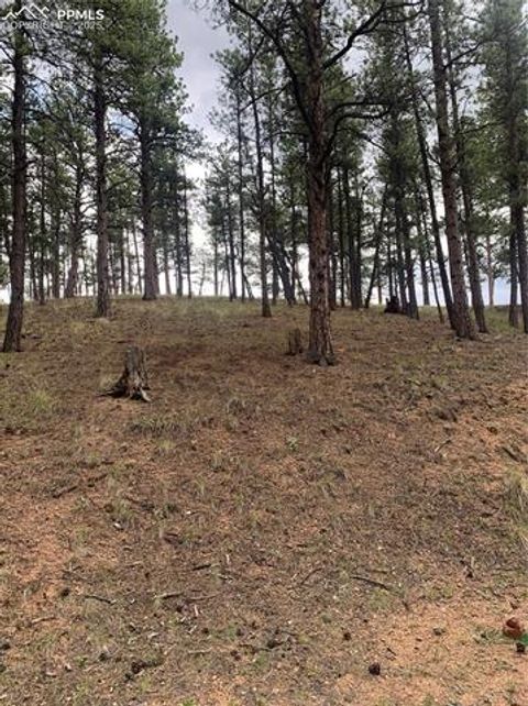 Tiny photo for 110 Wallace Drive, Florissant, CO 80816 (MLS # 3919247)