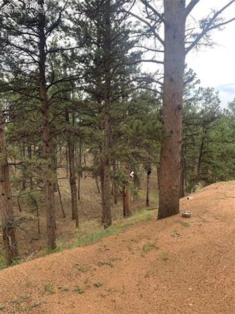 Tiny photo for 110 Wallace Drive, Florissant, CO 80816 (MLS # 3919247)