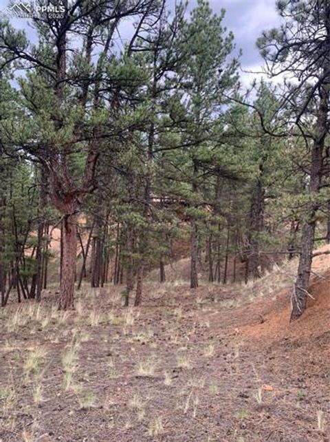 Tiny photo for 110 Wallace Drive, Florissant, CO 80816 (MLS # 3919247)