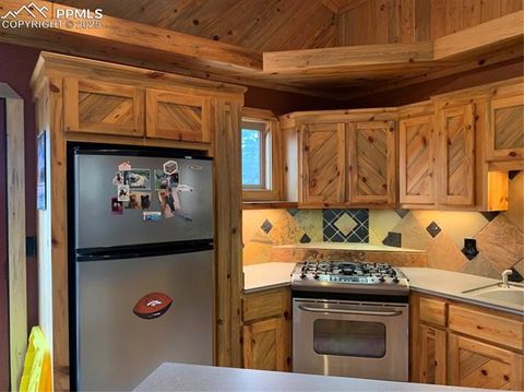Tiny photo for 110 Wallace Drive, Florissant, CO 80816 (MLS # 3919247)