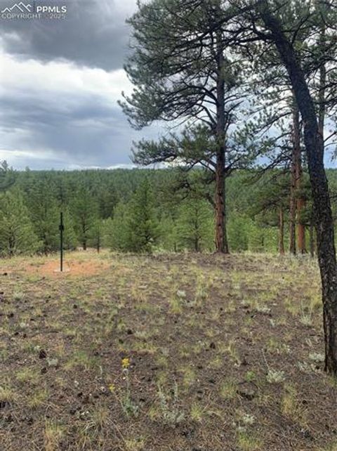 Tiny photo for 110 Wallace Drive, Florissant, CO 80816 (MLS # 3919247)