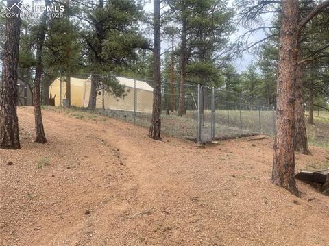 Tiny photo for 110 Wallace Drive, Florissant, CO 80816 (MLS # 3919247)