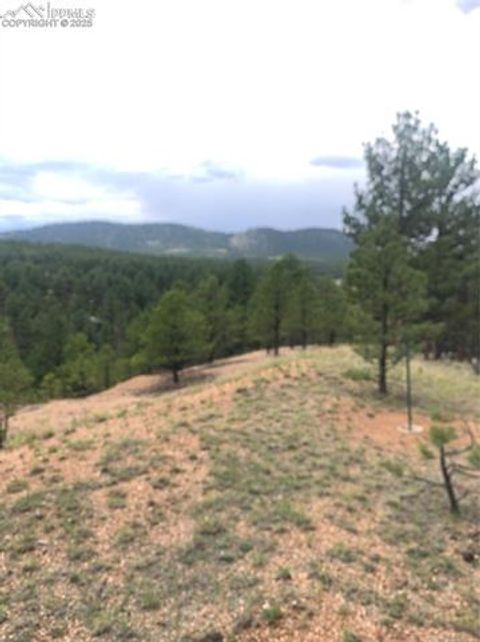 Tiny photo for 110 Wallace Drive, Florissant, CO 80816 (MLS # 3919247)