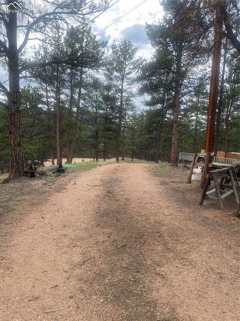 Tiny photo for 110 Wallace Drive, Florissant, CO 80816 (MLS # 3919247)
