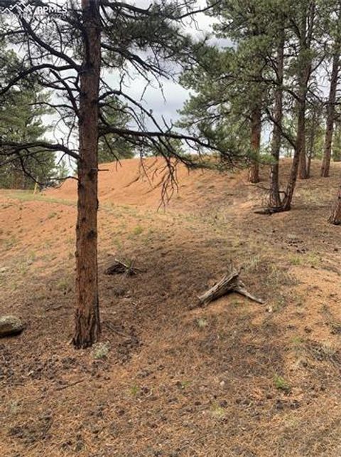 Tiny photo for 110 Wallace Drive, Florissant, CO 80816 (MLS # 3919247)