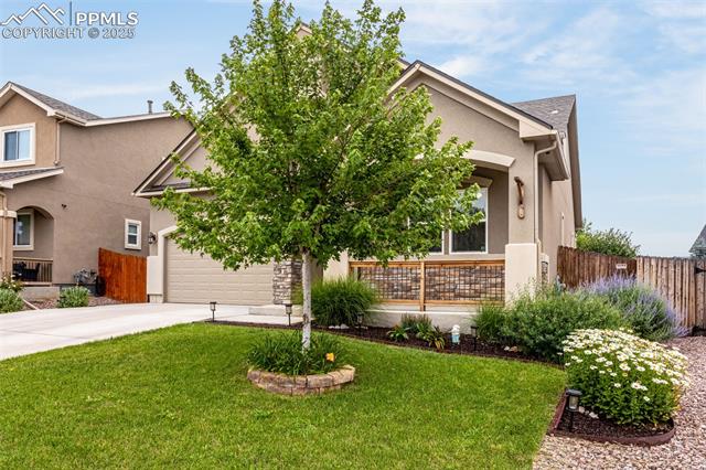 7675 Bigtooth Maple Drive
