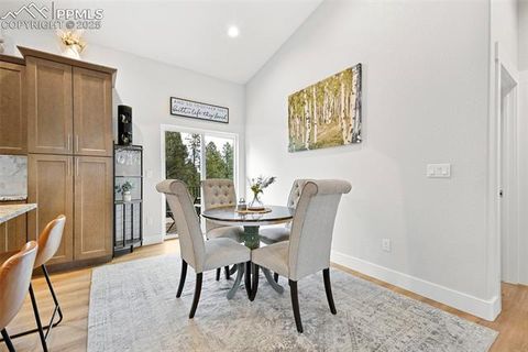 Tiny photo for 29 Dusti Circle, Florissant, CO 80816 (MLS # 6291314)