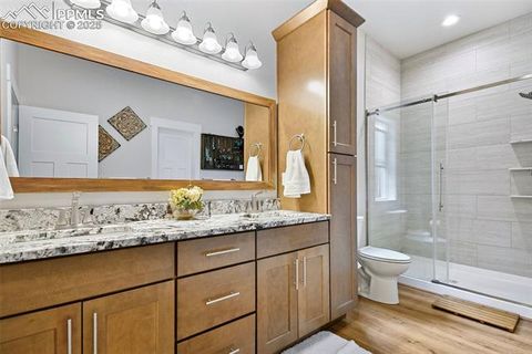 Tiny photo for 29 Dusti Circle, Florissant, CO 80816 (MLS # 6291314)