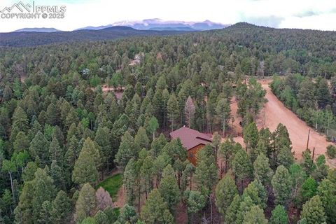 Tiny photo for 29 Dusti Circle, Florissant, CO 80816 (MLS # 6291314)
