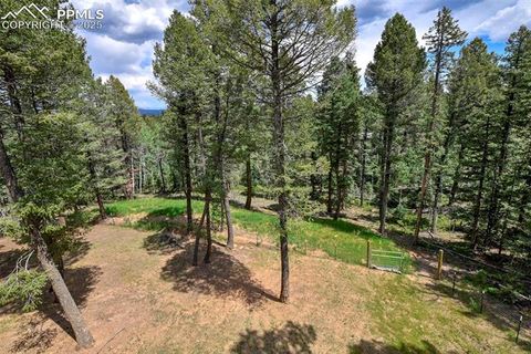 Tiny photo for 29 Dusti Circle, Florissant, CO 80816 (MLS # 6291314)