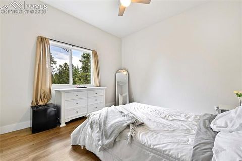 Tiny photo for 29 Dusti Circle, Florissant, CO 80816 (MLS # 6291314)