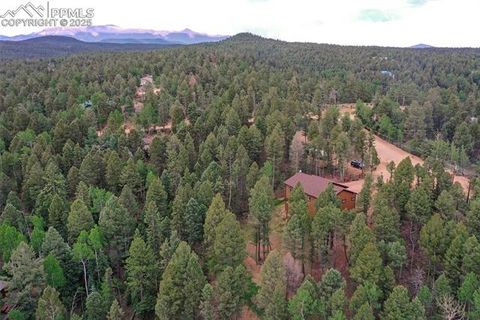 Tiny photo for 29 Dusti Circle, Florissant, CO 80816 (MLS # 6291314)