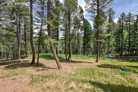 Tiny photo for 29 Dusti Circle, Florissant, CO 80816 (MLS # 6291314)