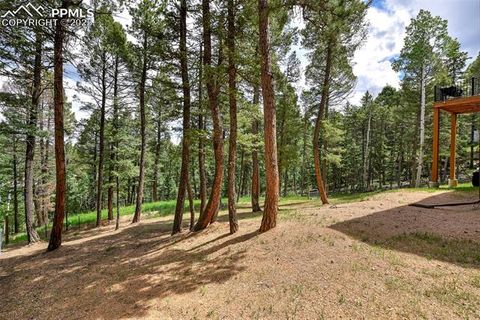 Tiny photo for 29 Dusti Circle, Florissant, CO 80816 (MLS # 6291314)