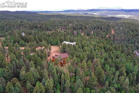 Tiny photo for 29 Dusti Circle, Florissant, CO 80816 (MLS # 6291314)