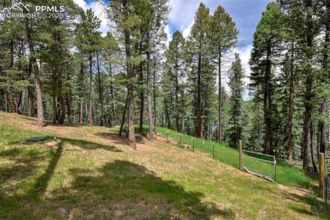 Tiny photo for 29 Dusti Circle, Florissant, CO 80816 (MLS # 6291314)