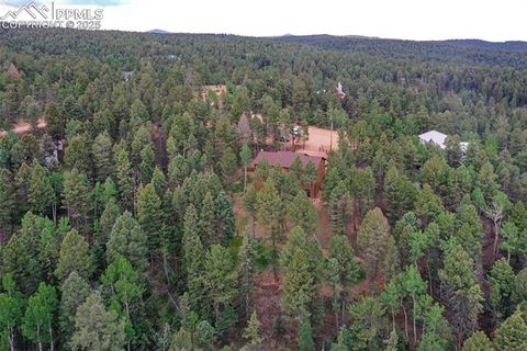 Tiny photo for 29 Dusti Circle, Florissant, CO 80816 (MLS # 6291314)