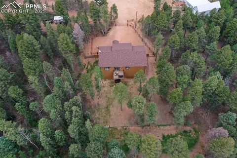 Tiny photo for 29 Dusti Circle, Florissant, CO 80816 (MLS # 6291314)