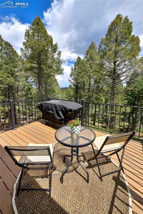 Tiny photo for 29 Dusti Circle, Florissant, CO 80816 (MLS # 6291314)