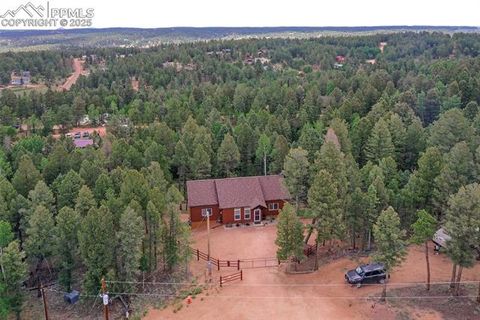 Tiny photo for 29 Dusti Circle, Florissant, CO 80816 (MLS # 6291314)