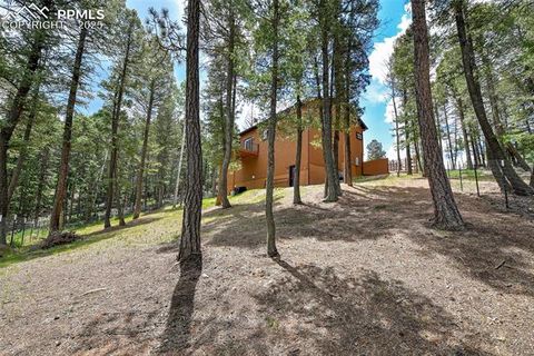 Tiny photo for 29 Dusti Circle, Florissant, CO 80816 (MLS # 6291314)