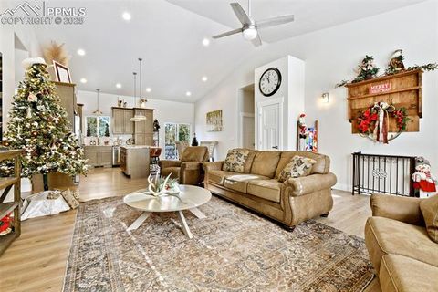 Tiny photo for 29 Dusti Circle, Florissant, CO 80816 (MLS # 6291314)