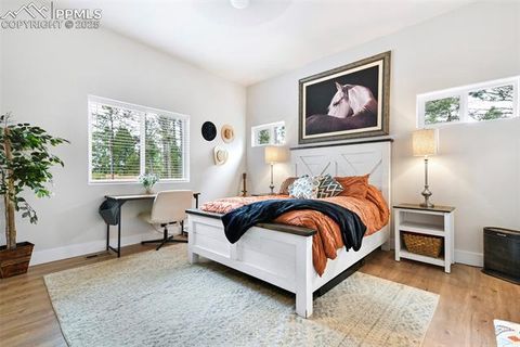 Tiny photo for 29 Dusti Circle, Florissant, CO 80816 (MLS # 6291314)
