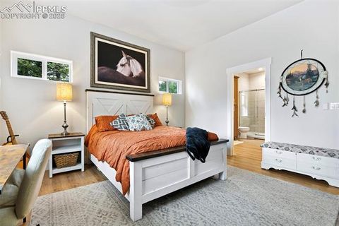 Tiny photo for 29 Dusti Circle, Florissant, CO 80816 (MLS # 6291314)