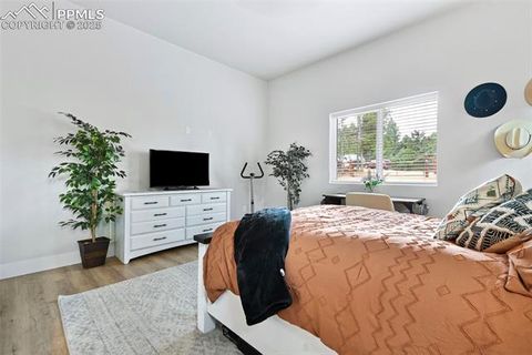 Tiny photo for 29 Dusti Circle, Florissant, CO 80816 (MLS # 6291314)