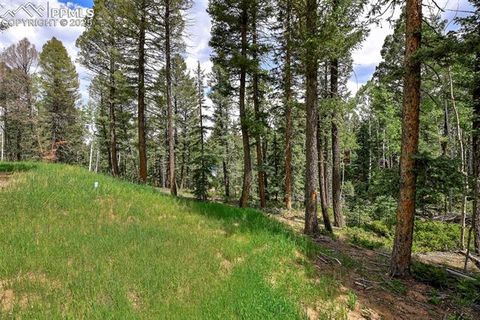 Tiny photo for 29 Dusti Circle, Florissant, CO 80816 (MLS # 6291314)