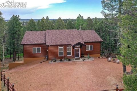 Photo of 29 Dusti Circle, Florissant, CO 80816 (MLS # 6291314)