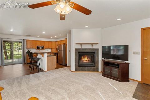 Tiny photo for 509 Dallas Alley, Woodland Park, CO 80863 (MLS # 3676532)