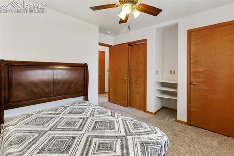 Tiny photo for 509 Dallas Alley, Woodland Park, CO 80863 (MLS # 3676532)