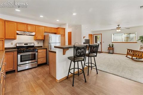 Tiny photo for 509 Dallas Alley, Woodland Park, CO 80863 (MLS # 3676532)