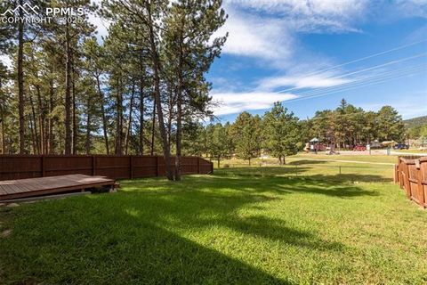 Tiny photo for 509 Dallas Alley, Woodland Park, CO 80863 (MLS # 3676532)